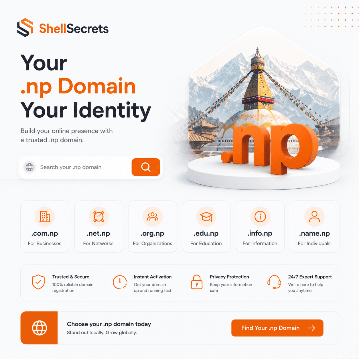 .np domain registration guidance