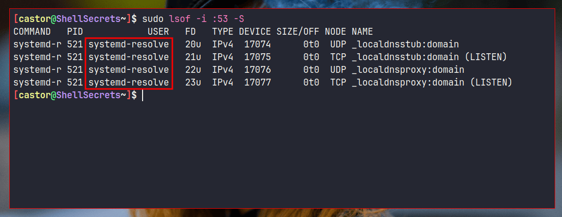 DNS Resolver in Linux?