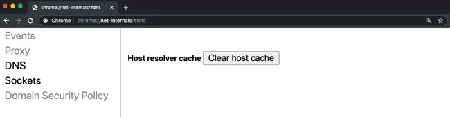 Remove DNS Cache in Google Chrome and Chrominum based browsers.